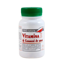 Vitamina E si Germeni de grau, 90 capsule, Pro Natura