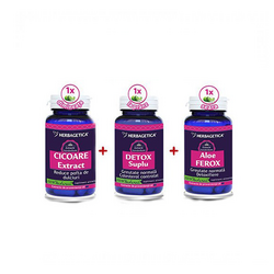 Cicoare Extract 60 capsule + Detox Suplu 60 capsule + Aloe Ferox 60 capsule, Herbagetica