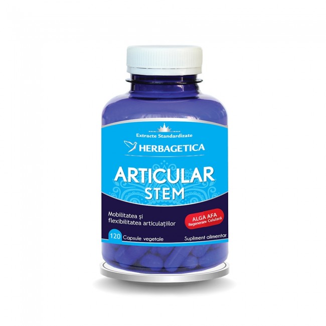 Articular Steam, 120 capsule vegetale, Herbagetica