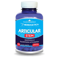 Articular STEM, 120 capsule vegetale, Herbagetica