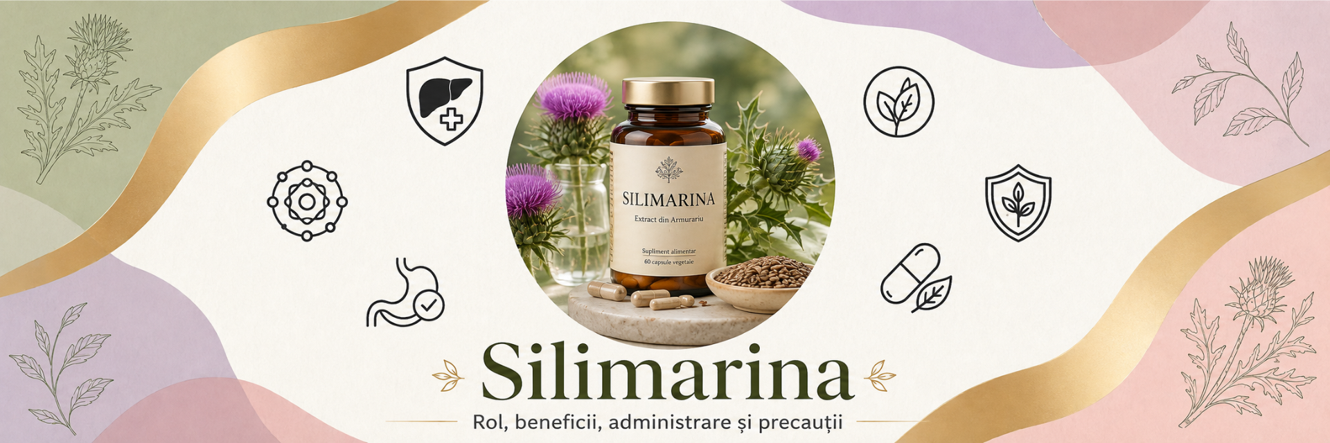 Silimarina: ce este, beneficii, administrare și contraindicații