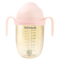 Biberon Anticolici Breast-Like, PPSU, Old Roze, 300 ml, Mombella