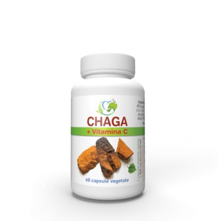 chaga vitamina c justin