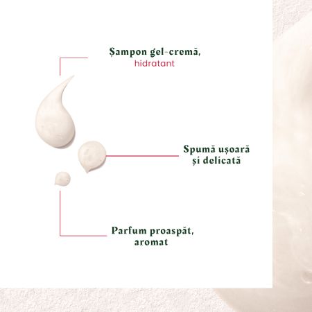 Sampon antimatreata uscata Neopur, 150 ml, Rene Furterer 607071