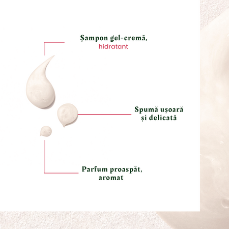 Sampon antimatreata uscata Neopur, 150 ml, Rene Furterer 607071
