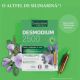 Desmodium 2500, 20 fiole x 10 ml, Santarome Phyto 615517