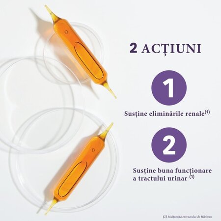 Confort Urinar Bio, 20 fiole X 10 ml, Santarome Nature 615457