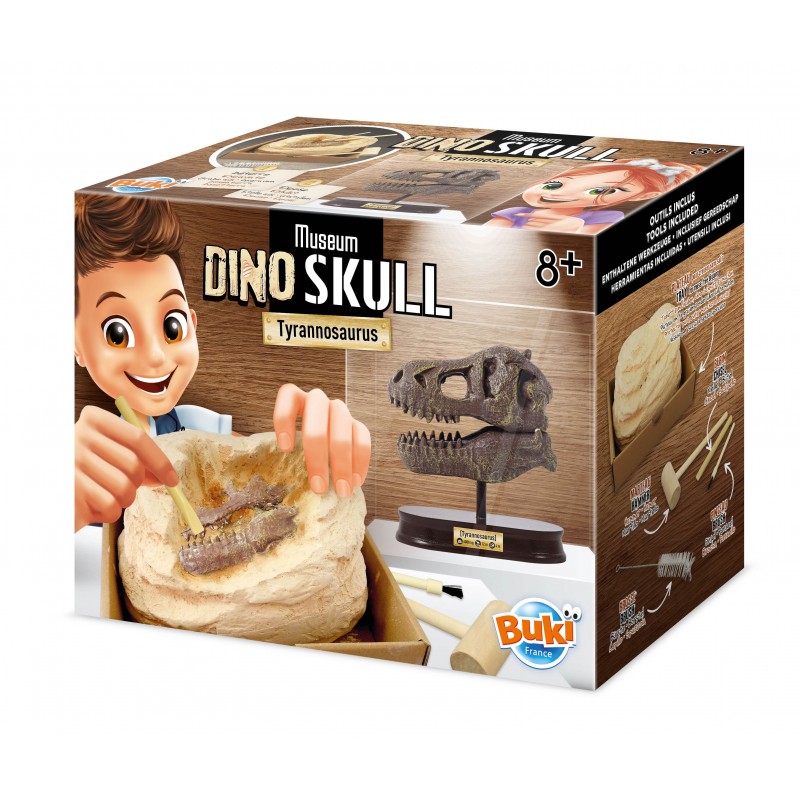 Kit de sapat Craniu T-Rex, +8 ani, Buki