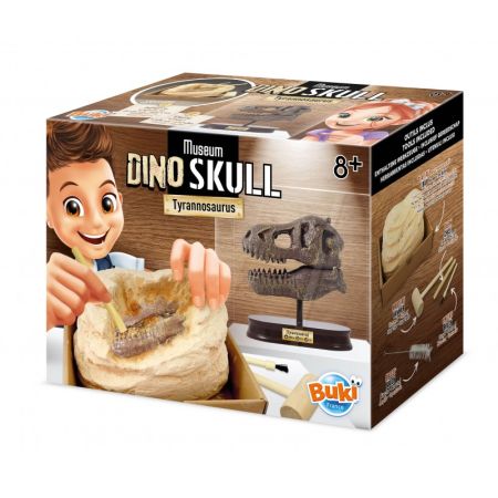 Kit de sapat Craniu T-Rex