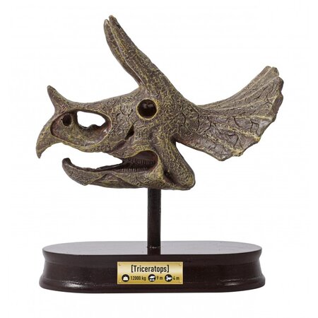 Kit de sapat Craniu Triceratops, +8 ani, Buki 514407