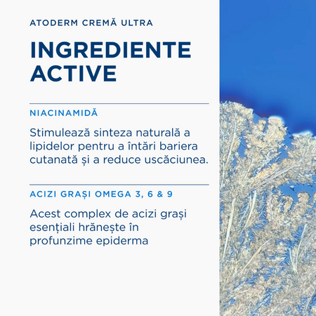 Crema Ultra cu parfum Atoderm, 500 ml, Bioderma 818243
