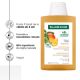 Sampon cu extract de mango Bio pentru par uscat-deshidratat, 200 ml, Klorane 723955