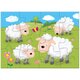 Set 4 puzzle-uri Animale de la ferma, +3 ani, 30 piese, Galt 645329