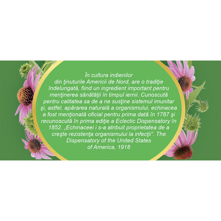 Ceai de echinacea, 20 plicuri, Fares 720749