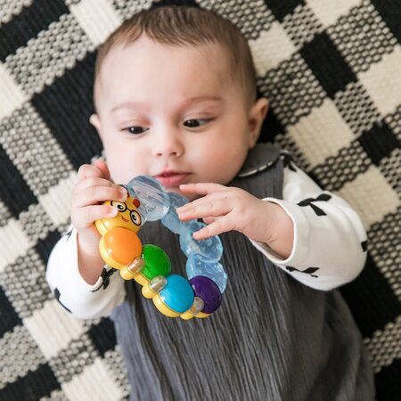 Jucarie pentru dentitie Rattle Toy, Baby Einstein 518094