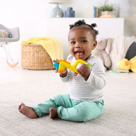 Jucarie Zornaitoare, Diverse Modele, Fisher Price 521709