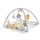 Saltea cu activitati si accesorii, Fisher Price 521745