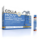 Collamouv, 14 fiole x 25 ml, BHW Bayerische Heilmittel Wissenschaften GmbH 807895