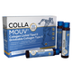 Collamouv, 14 fiole x 25 ml, BHW Bayerische Heilmittel Wissenschaften GmbH 807897