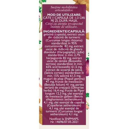 Biomobil, 63 capsule, Fares 722793