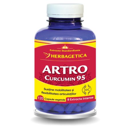Artro Curcumin 95, 120 capsule, Herbagetica