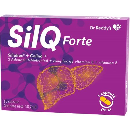 SilQ Forte