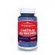 Cartilaj de rechin, 60 capsule, Herbagetica 524223