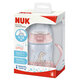 Biberon PP 150 ml cu toarte + tetina silicon de invatare 6-18 luni, First Choice Disney Bamby, Nuk 550703