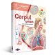 Carte interactiva, +5 ani, Corpul uman, Raspundel Istetel 530544