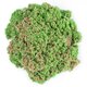 Nisip kinetic Seashell, 127 g, Kinetic Sand 530387