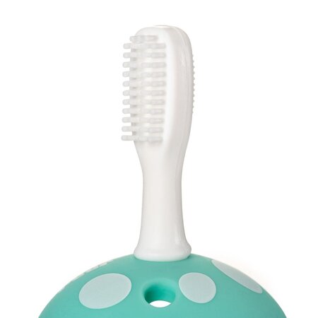 Set periute de dinti din silicon pentru antrenament BabyCare, 0 luni+, Reer 531479
