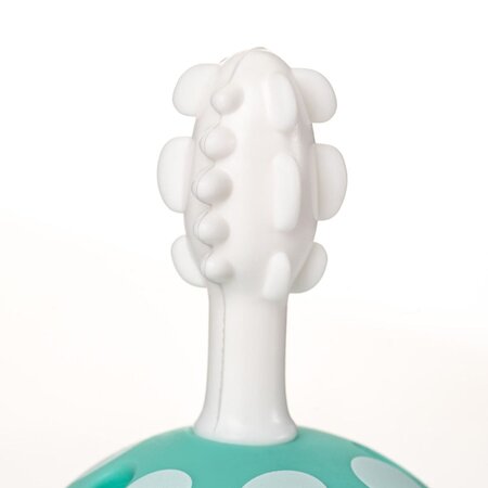 Set periute de dinti din silicon pentru antrenament BabyCare, 0 luni+, Reer 531478