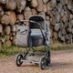 Rucsac multifunctional cu aleza pentru schimbat scutece, 84221, Reer 531968