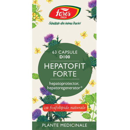 Hepatofit Forte D100, 63 capsule, Fares 722932