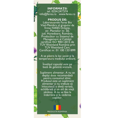 Hepatofit Forte D100, 63 capsule, Fares 722930