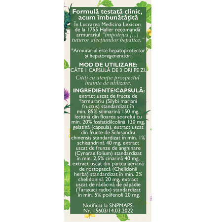 Hepatofit Forte D100, 63 capsule, Fares 722929