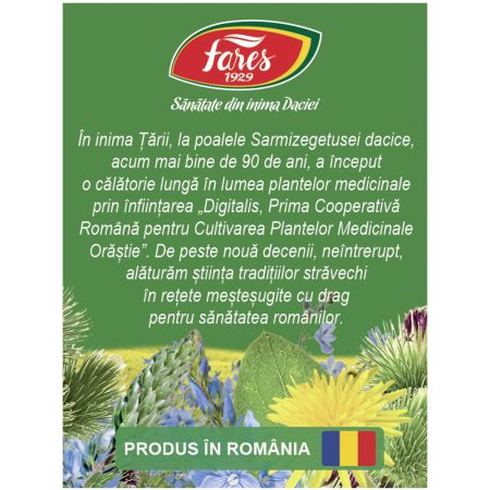 Ceai Curatarea sangelui,, 20 plicuri, Fares 721183
