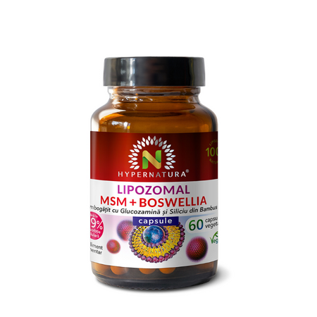 Lipozomal MSM + Boswellia + Glucozamina + Siliciu Organic