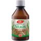 Sirop de Patlagina, 250 ml, Fares 718441