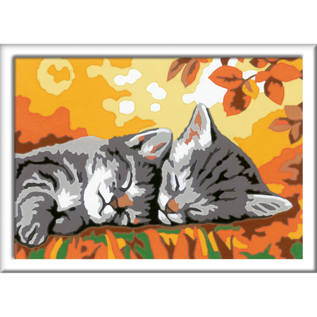 Pictura pe numere Pisicute Somnoroase Creart, +9 ani, Ravensburger 534794