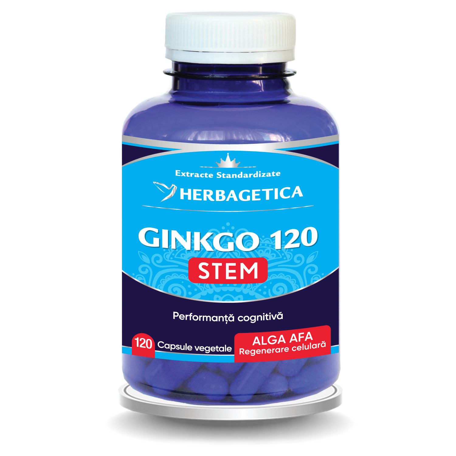 Ginkgo 120 Stem, 120 capsule, Herbagetica