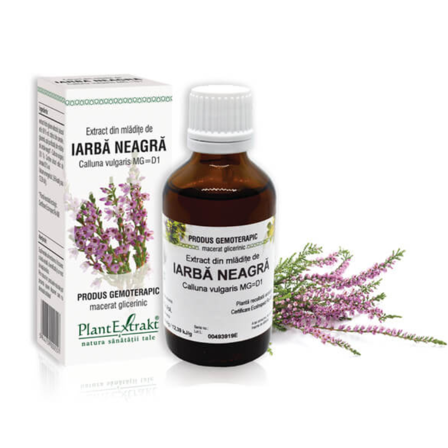 Extract din mladite de iarba neagra, 50 ml, PlantExtrakt