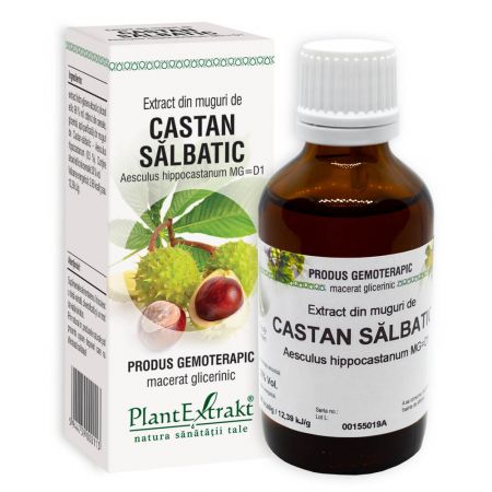 Extract din muguri de castan salbatic