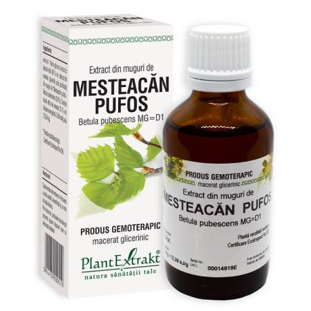 Extract din muguri de mesteacan pufos, 50 ml, Plant Extrakt