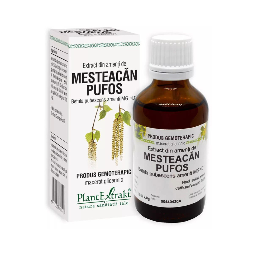 Extract din amenti de mesteacan pufos, 50 ml, Plant Extrakt