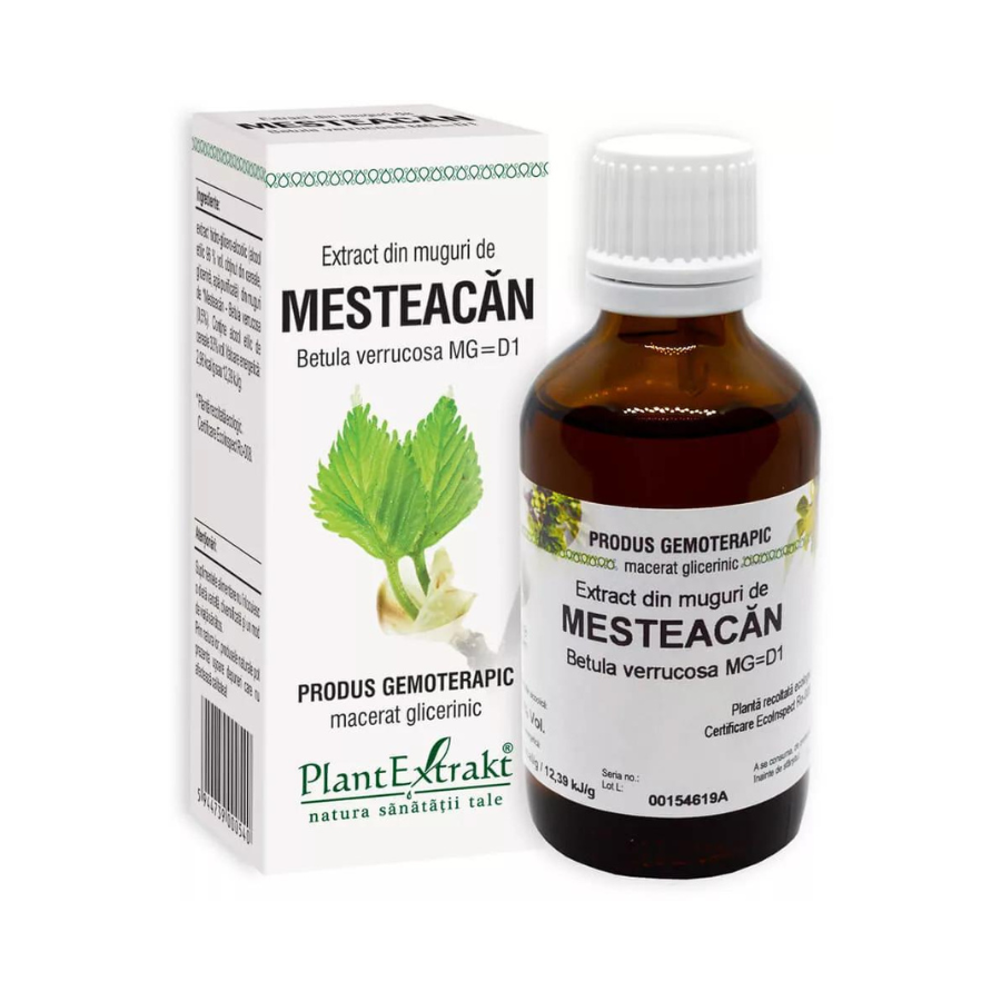 Extract din muguri de mesteacan, 50 ml, Plant Extrakt