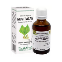Extract din muguri de mesteacan, 50 ml, Plant Extrakt