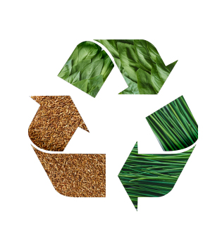 Reciclare