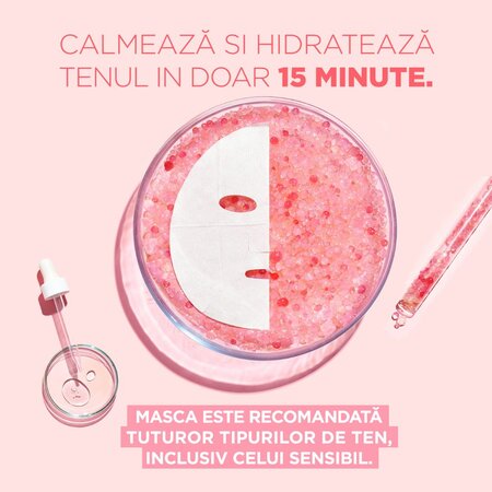 Masca servetel Garnier 2 Million Probiotic, 22 g, Loreal 538667