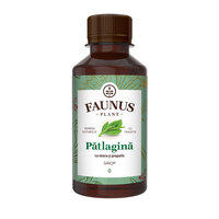 Sirop de Patlagina cu miere si propolis, 200 ml, Faunus Plant